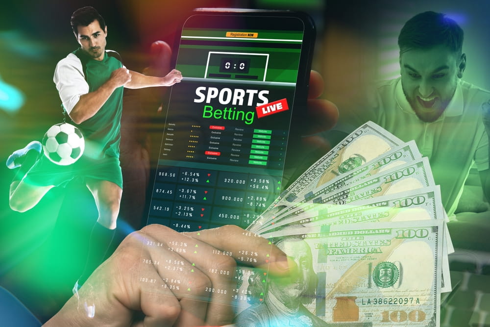 Professional Sports Bettors